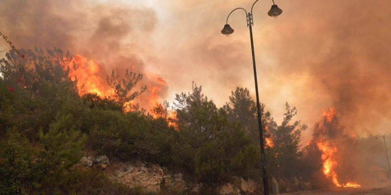 المروحيات الأردنية تساهم في إخماد حرائق لبنان